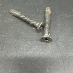 FLOOR SCREW TORX TM