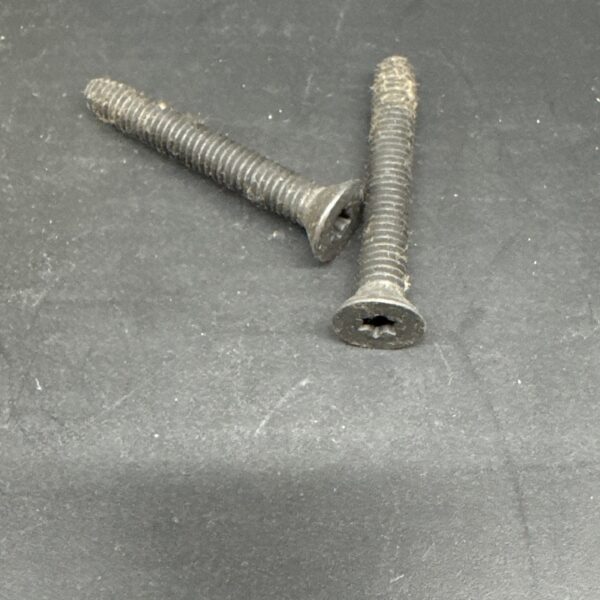 FLOOR SCREW TORX TM