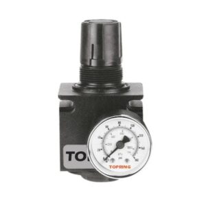 MINI REGULATEUR MODULAIRE 125 PSI 1/4 NPT / CADRAN