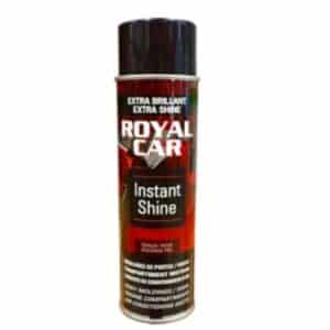 PROTECTEUR AEROSOL INSTANT SHINE