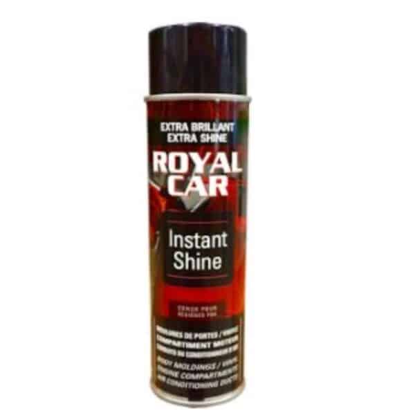 PROTECTEUR AEROSOL INSTANT SHINE